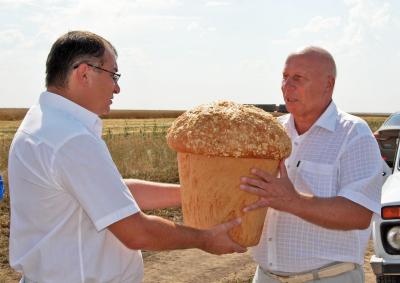 Ректор Саратовского ГАУ вручил благодарственные письма труженикам аграрной отрасли.