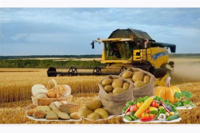 На развитие сельского хозяйства в 2017 году выделено 6,8 млрд руб.