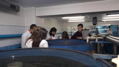 Научно-исследовательская лаборатория «Технологии кормления и выращивания рыбы»