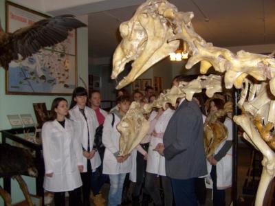 Экскурсия по углубленному изучению коллекции анатомического музея