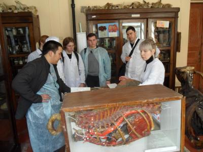 Посещение  анатомического музея СГАУ