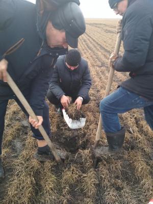 Обследование посевов озимой пшеницы в УНПО «Поволжье»