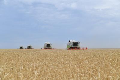 В Саратовской области намолочено 2,1 млн тонн зерна урожая-2020