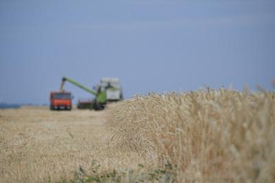 В Саратовской области собрано 3,5 млн. тонн зерна урожая-2020