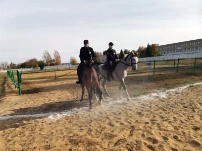 ФГБОУ ВО Саратовскому ГАУ передали полицейских лошадей