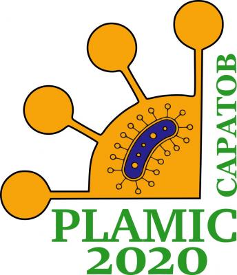 СГАУ принимает участие в научной конференции PLAMIC2020