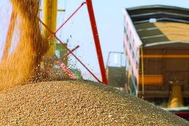 Экспорт зерна в сезоне 2020/2021 гг. превысит 48 млн тонн
