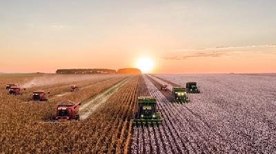 В ходе уборочной-2021 на полях области обмолочено 75% га зерновых