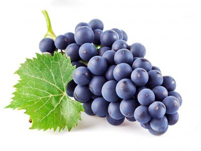 «Состояние и перспективы виноградарства в Поволжье»