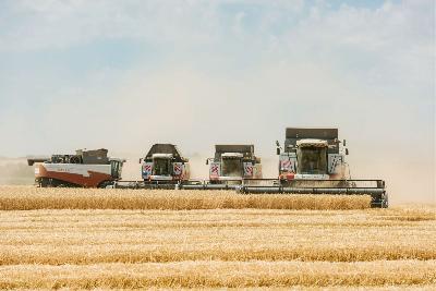 К уборке озимой пшеницы приступили 20 районов области