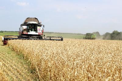 Первые полмиллиона тонн зерна собраны в Саратовской области