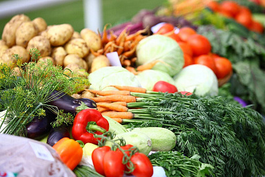 В России собрано почти 1,4 млн тонн овощей