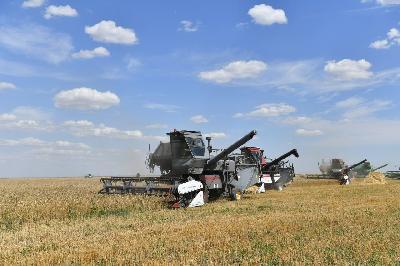 В Саратовской области собрано 2 миллиона тонн зерна