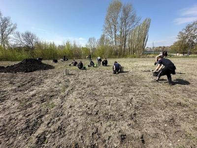 Подготовка участка для селекции полевых культур  в УНПО «Агроцентр»